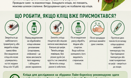 Фото - ?️ УВАГА! СЕЗОН КЛІЩІВ ТРИВАЄ! ?